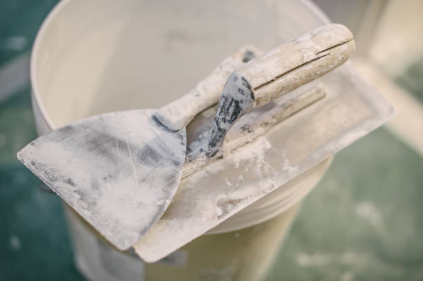 Best Basement Mold Removal  in Boyes Hot Springs, CA