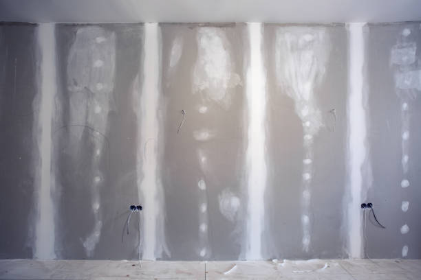 Forensic Mold Investigation in Boyes Hot Springs, CA